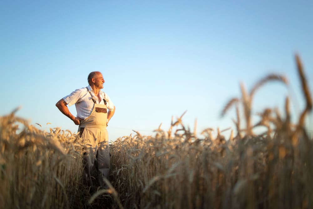 Travail agricole et fortes chaleurs : comment s’habiller en été ?